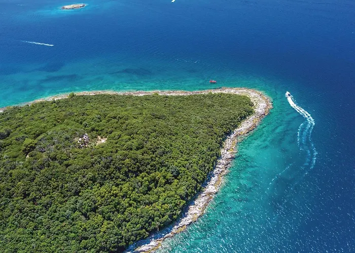 Apartman In With Kitchen